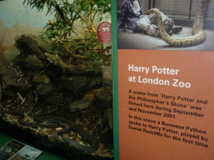 La vitrine du serpent dans Harry Potter (celui qui est vraiment dedans n'a rien à voir avec celui du film, obviously)